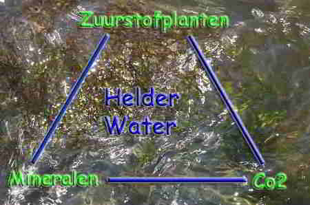 Driehoek van helder vijverwater: zuurstofplanten, mineralen en Co2